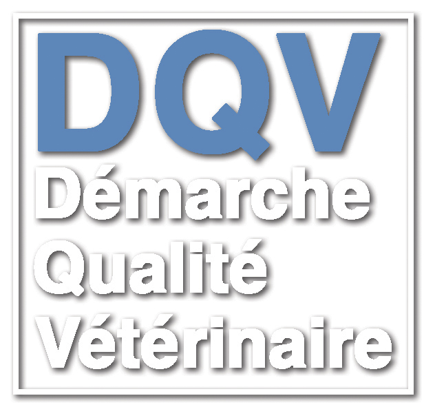 logo DQV