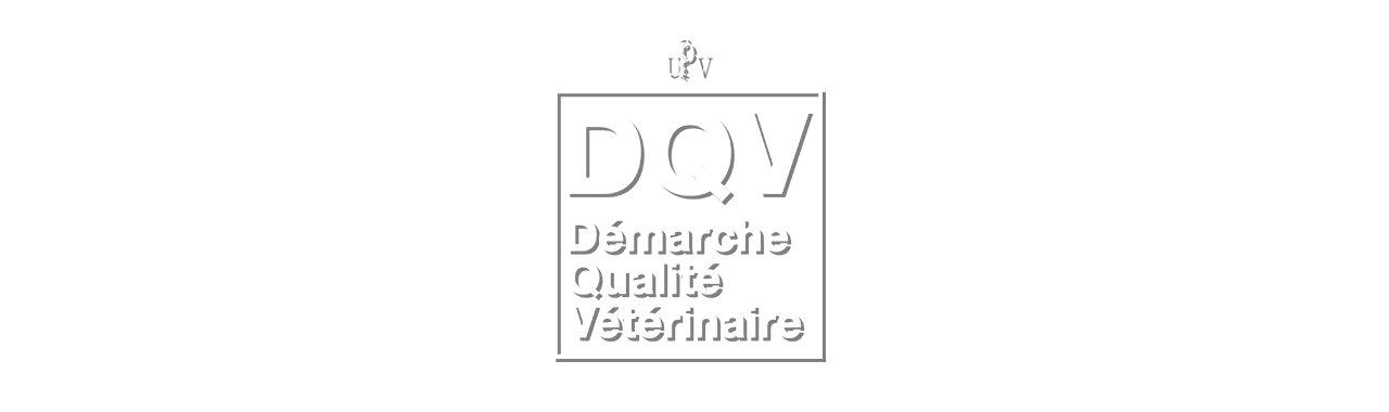 Démarche Qualité Vétérinaire (DQV)